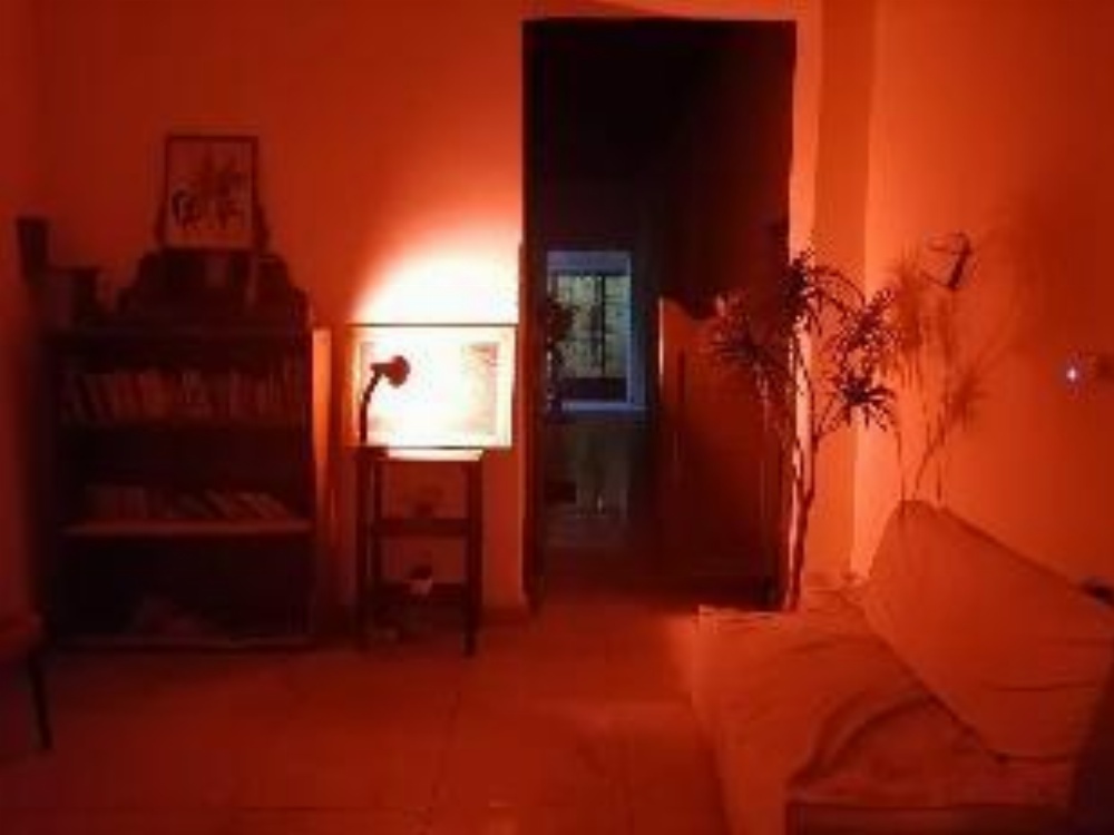 Safary Hotel Image 19